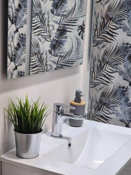 Piso De Diseno Elche Apartment ภายนอก รูปภาพ